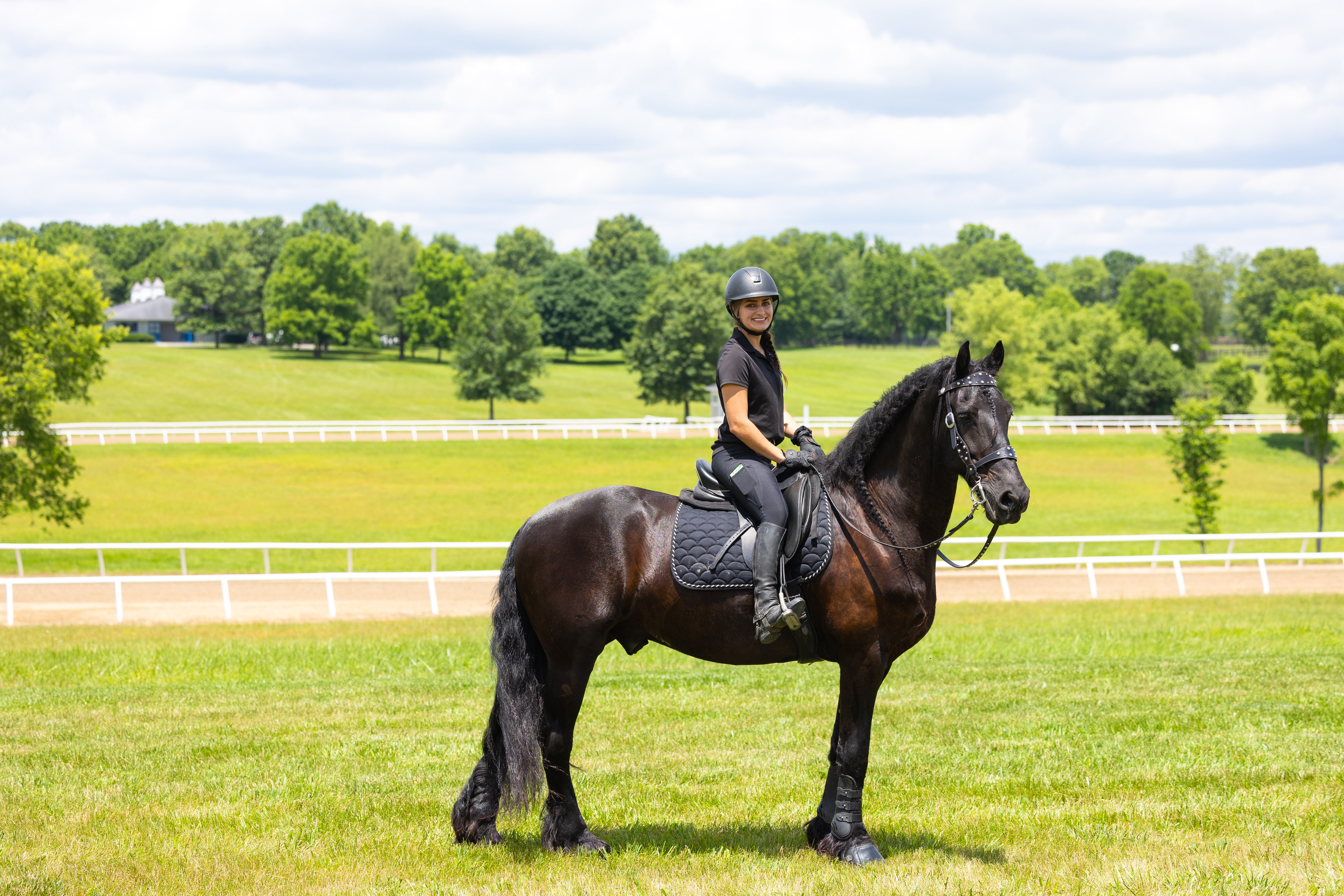 Job Posting: Friesian Caretaker and Rider