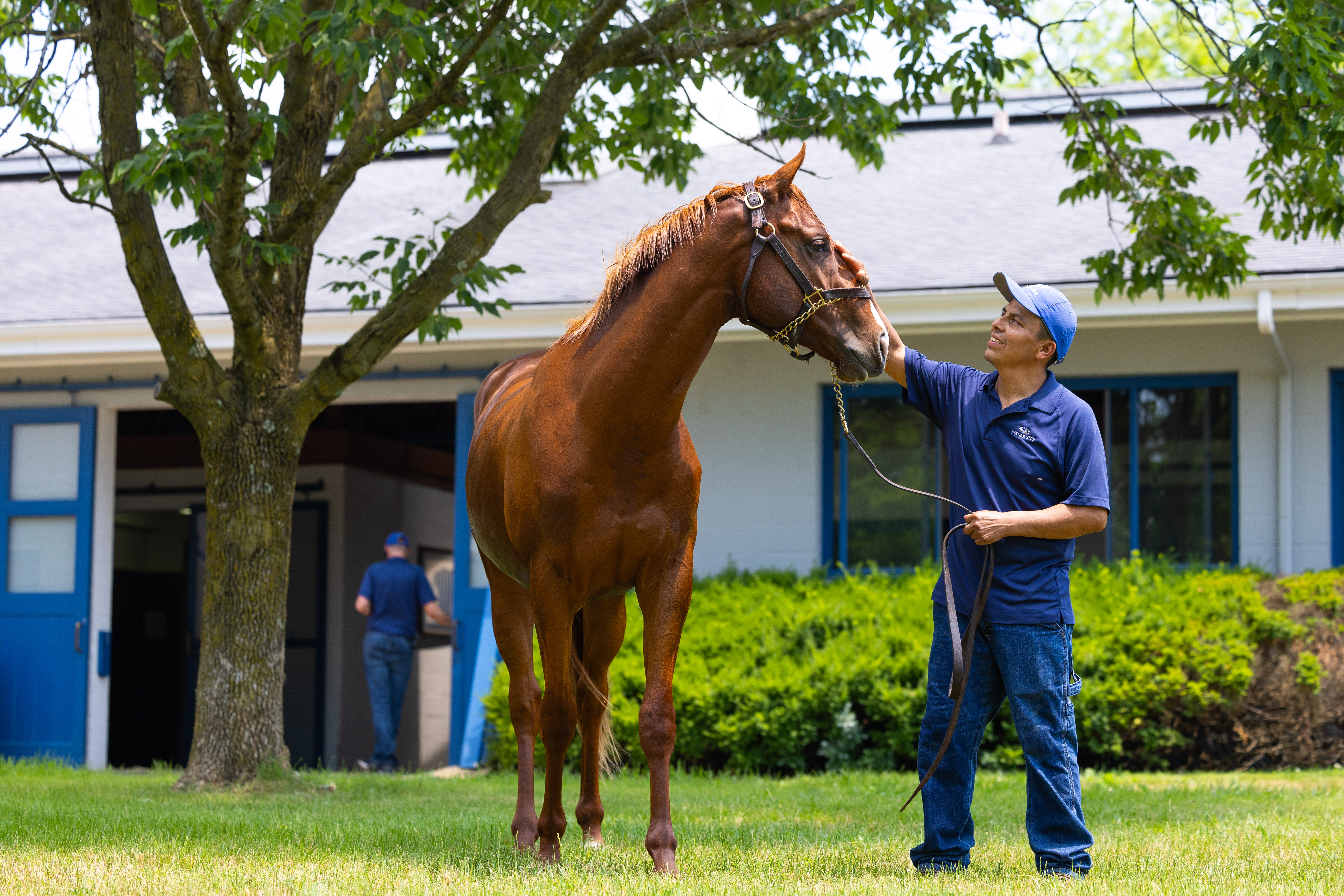 Job Posting: Rehabilitation Assistant