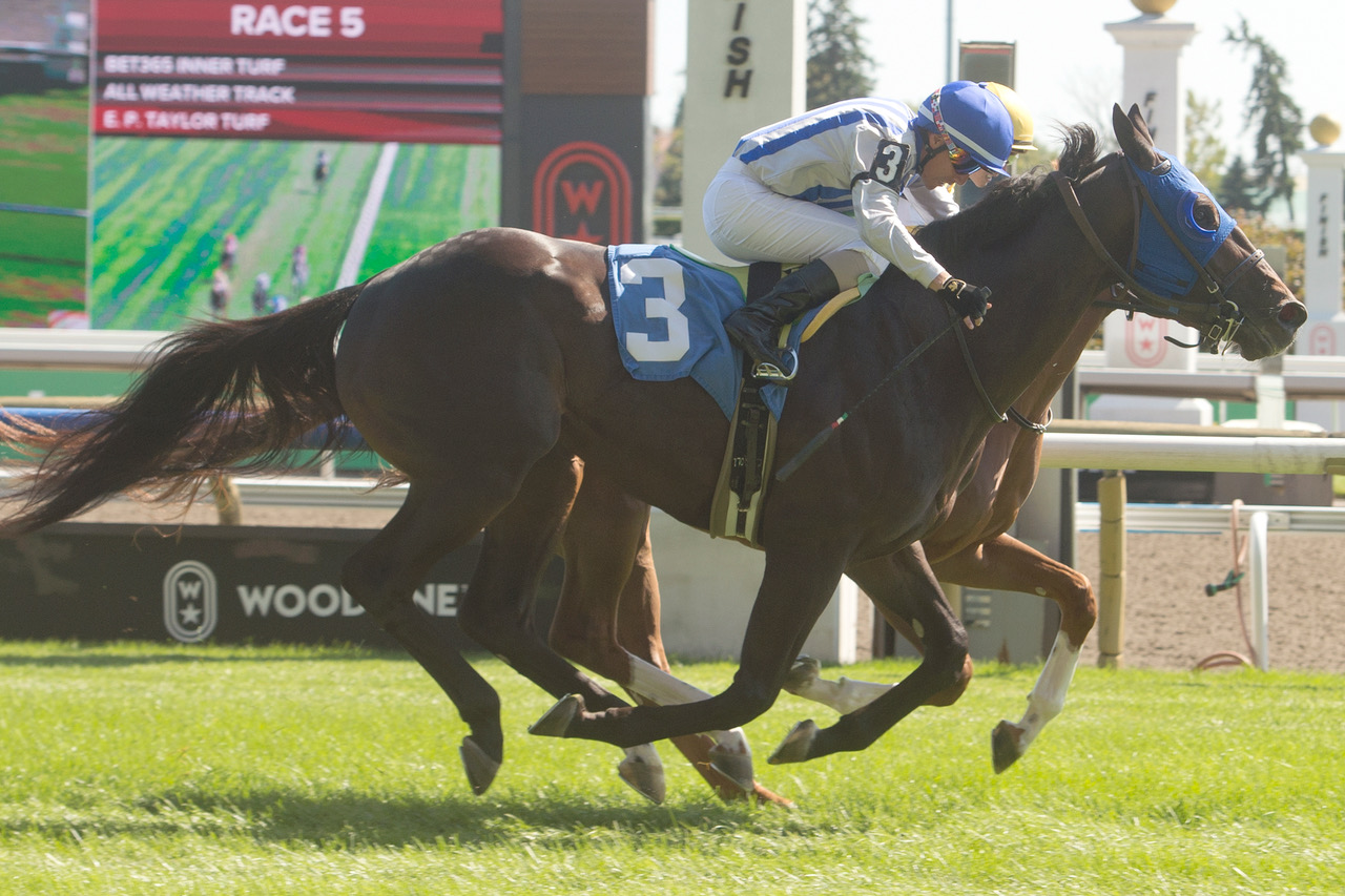 A Double on the Weekend for Pin Oak Runners