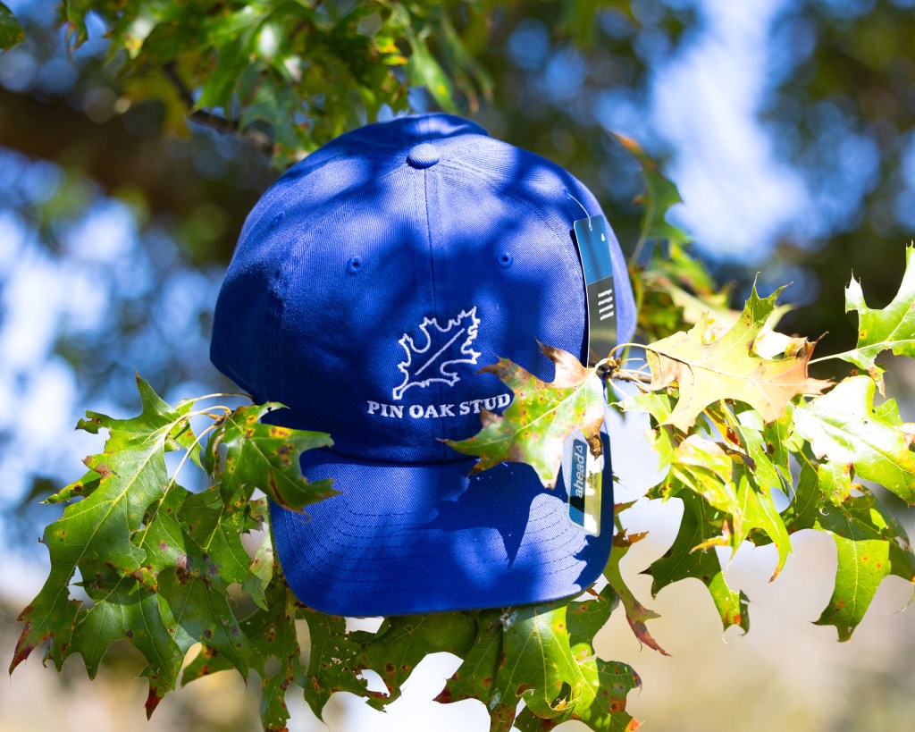 Blue Leaf Hat