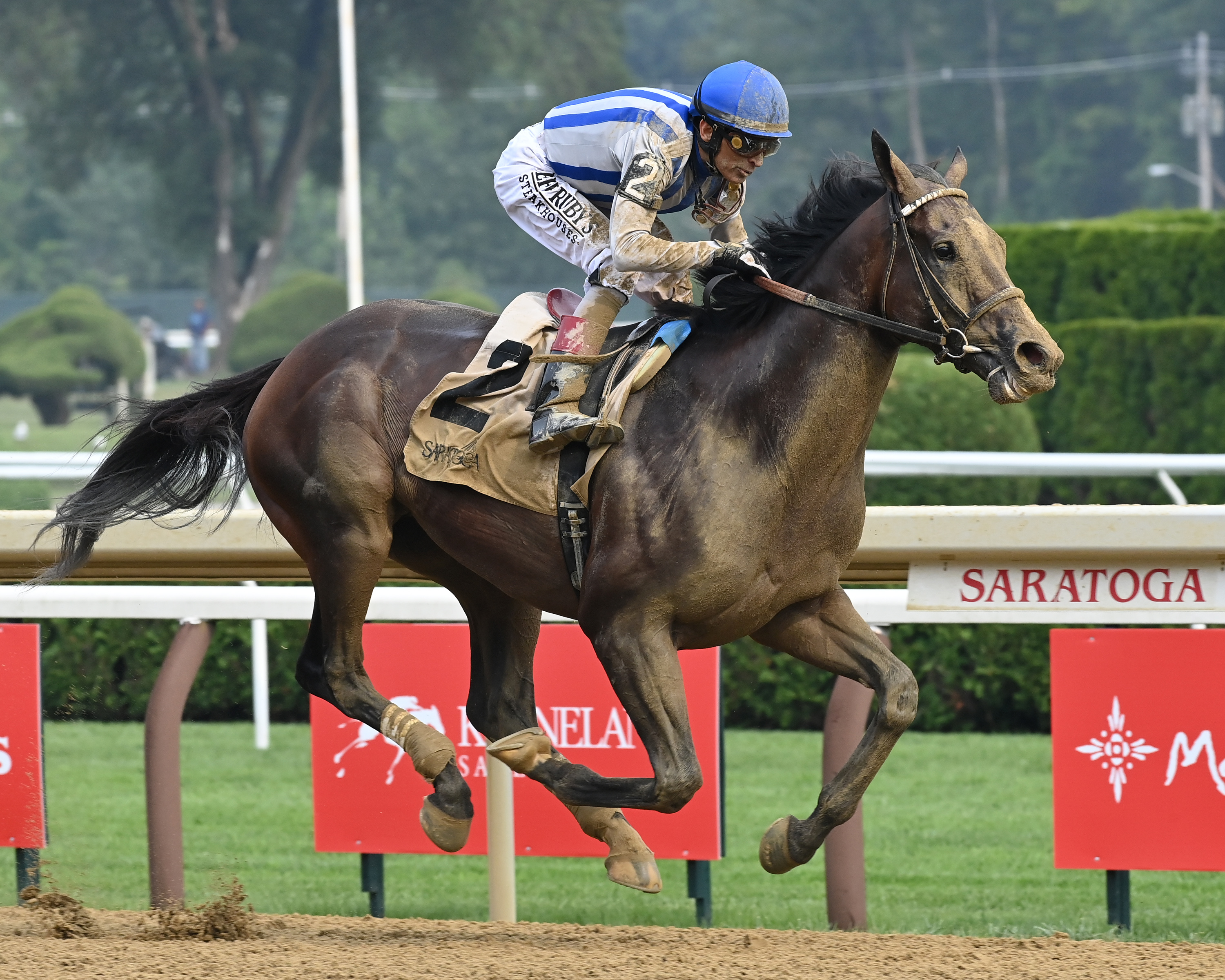 Parchment Party takes Birdstone; Melbourne Cup up next