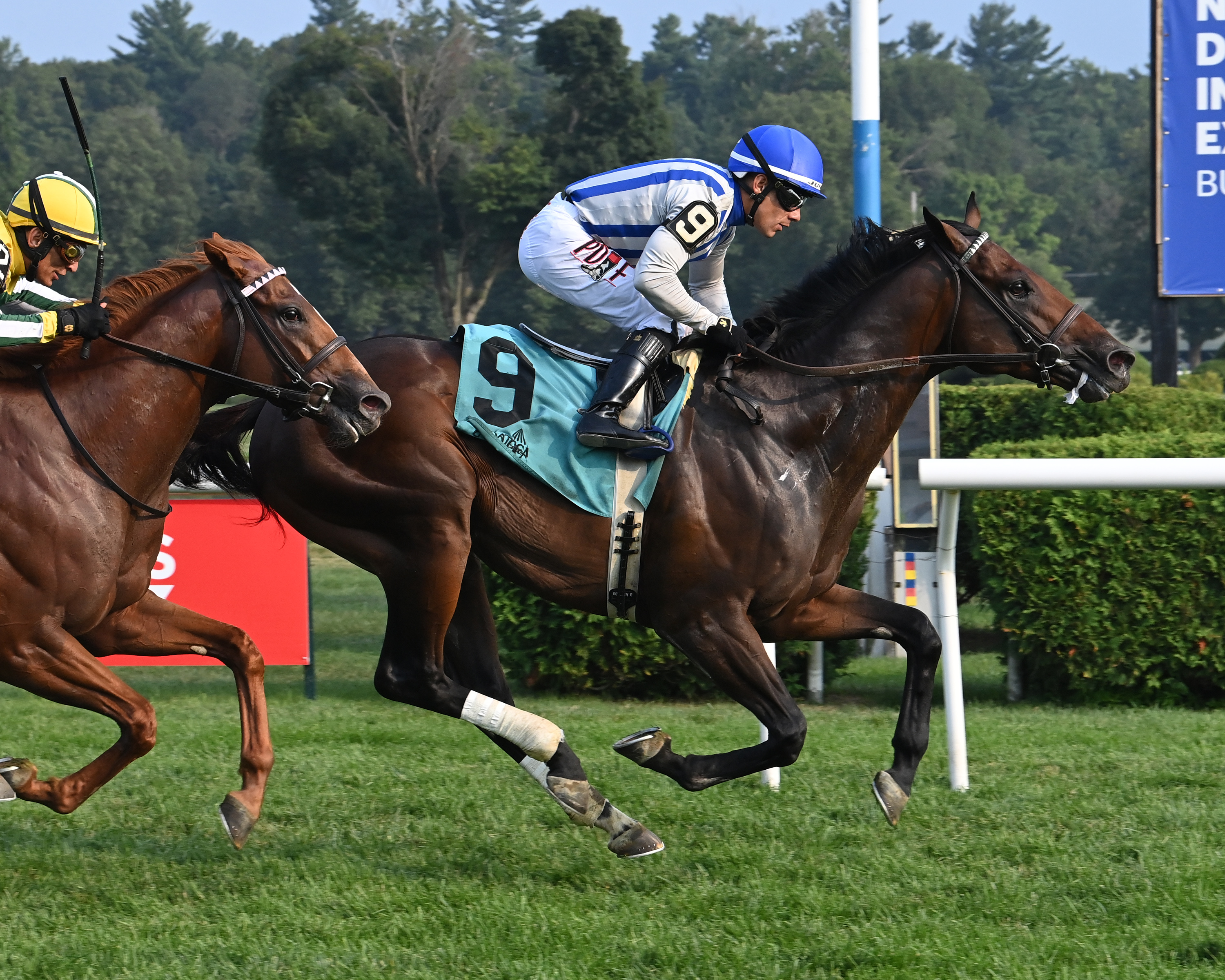 Stars And Strides Takes To The Turf At Saratoga