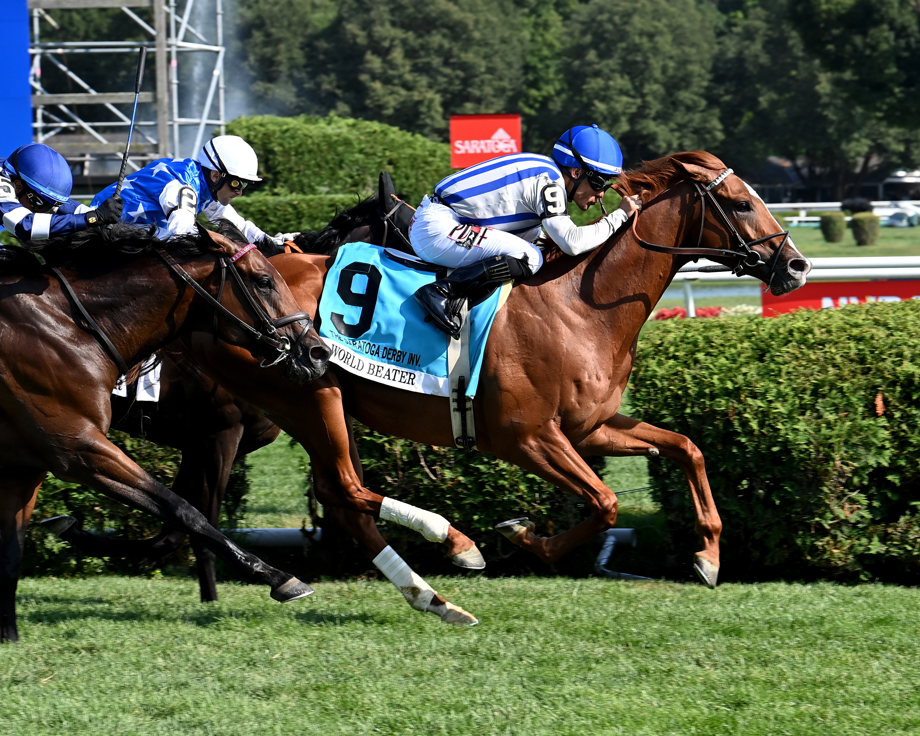 World Beater Triumphs in Saratoga Derby