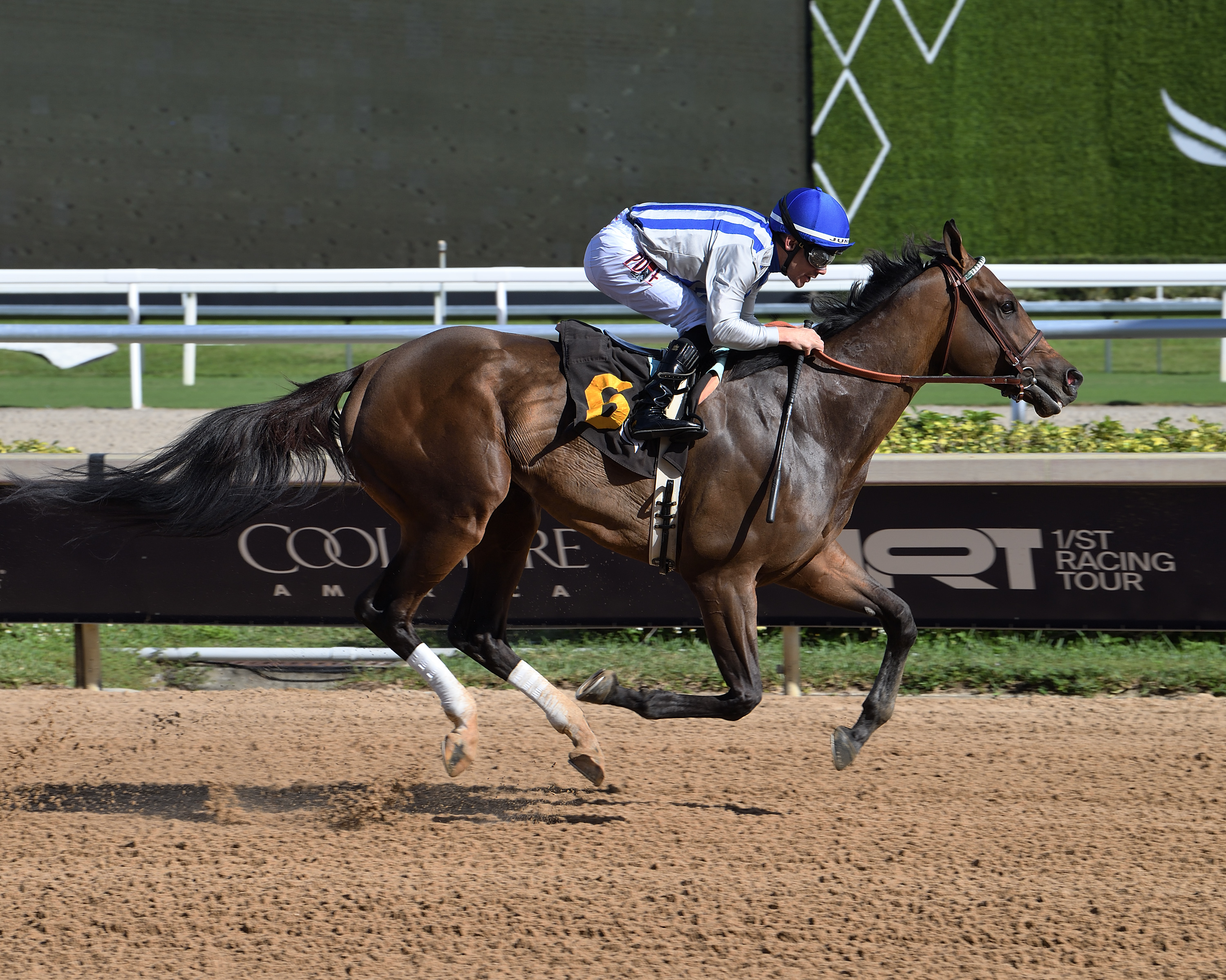 Steeze Gives Riley Mott His 100th Training Win