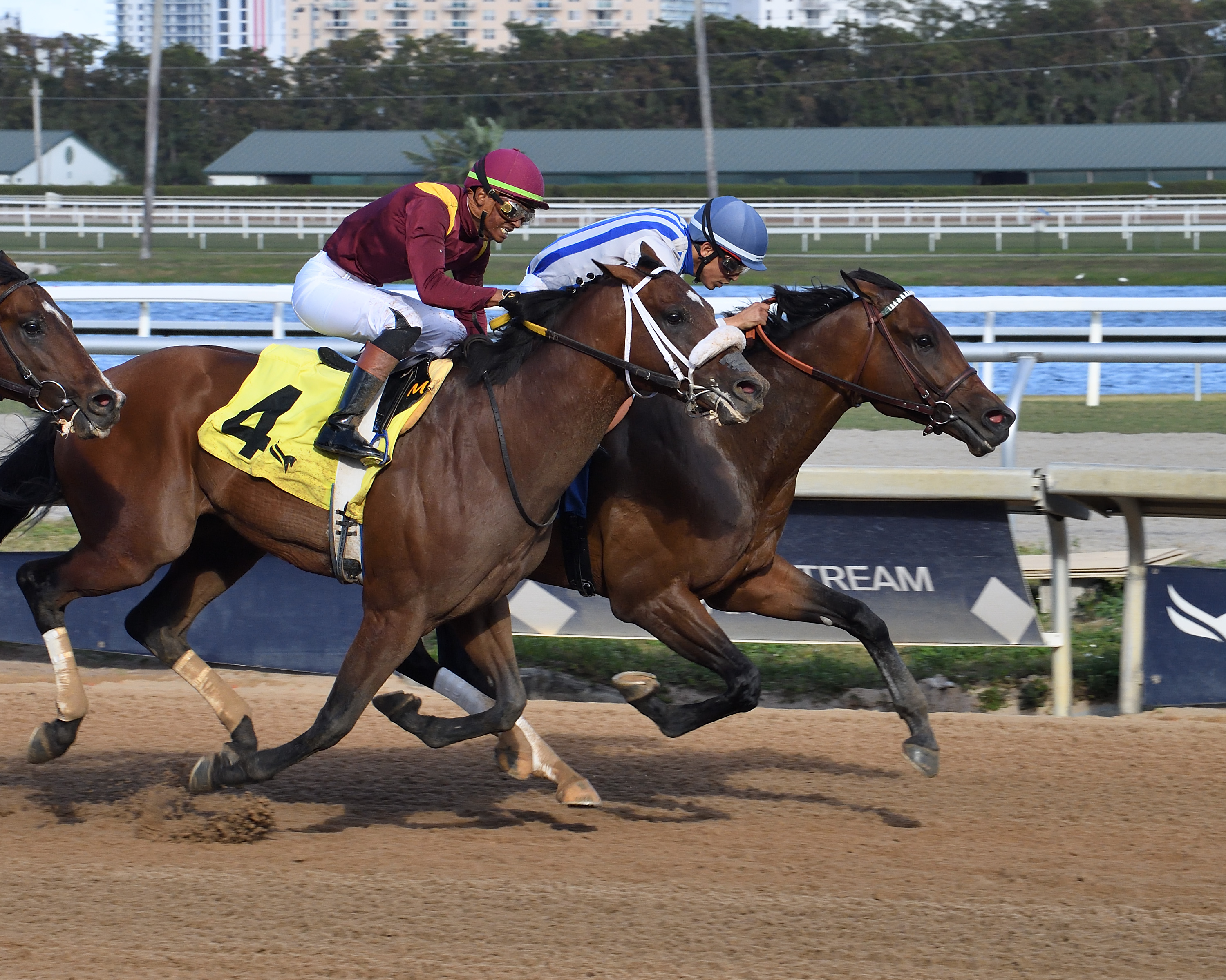 Riley Mott’s Trainees Shine: Steeze and Marshal’s Victories