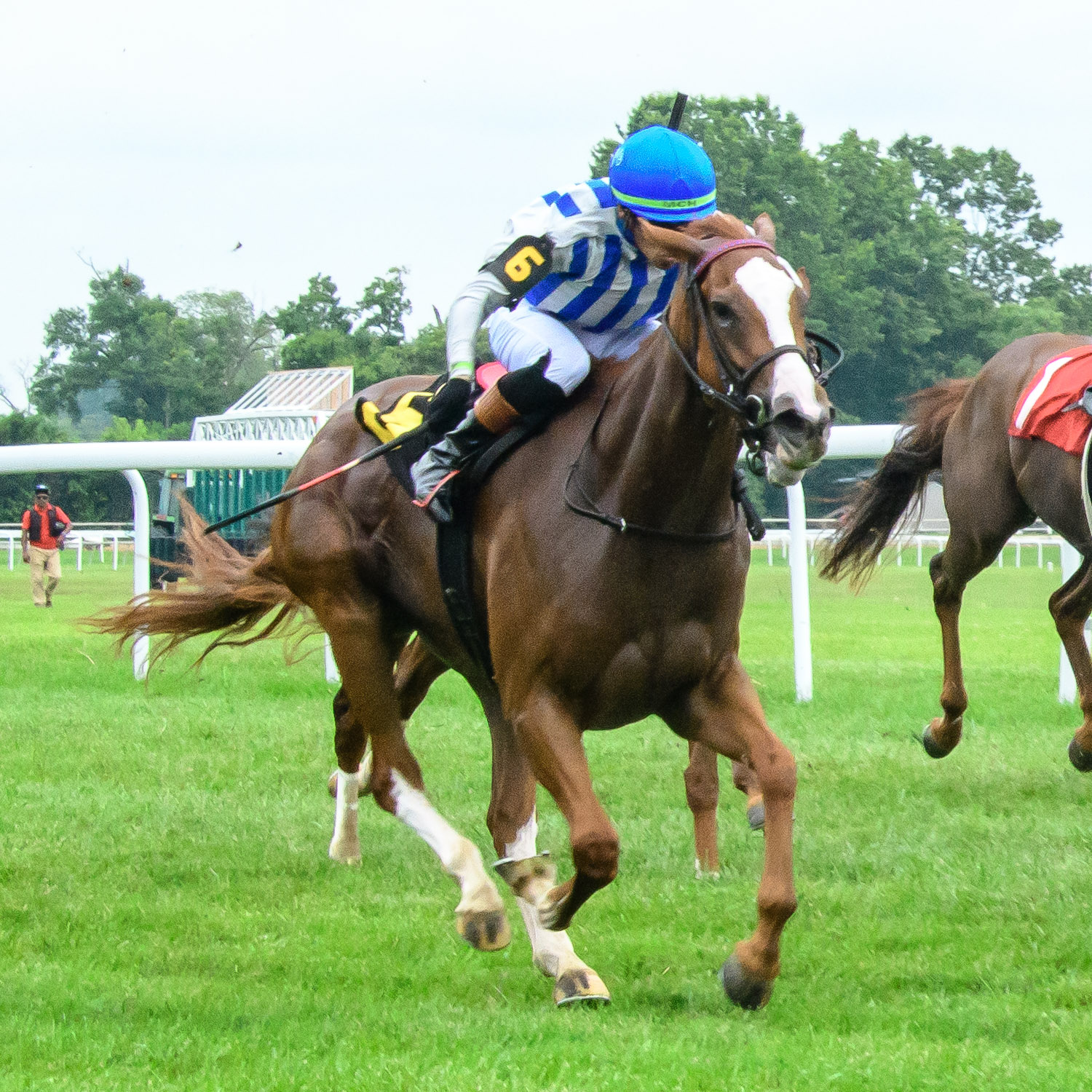 Good Bytes Makes History as the Bernhard’s First Homebred Winner